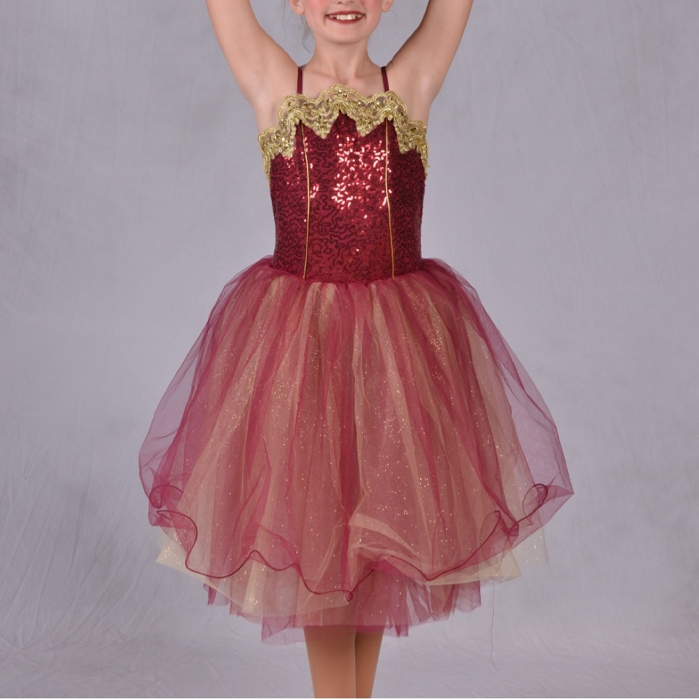 Elegant Burgundy and Gold Kids Costume